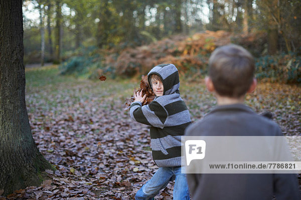 Boy throwing leaves at friend