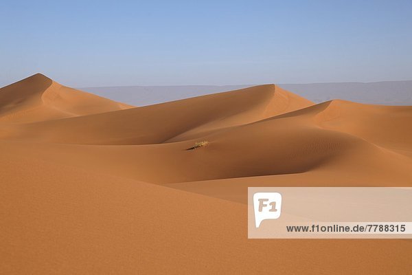 Wüste  Marokko