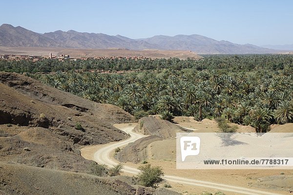 In Marokko Todra Schlucht