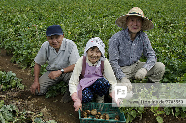 Potato harvesters