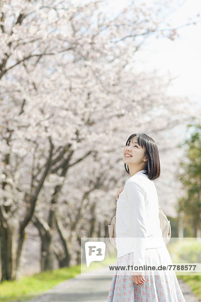 Young woman and cherry blossom trees