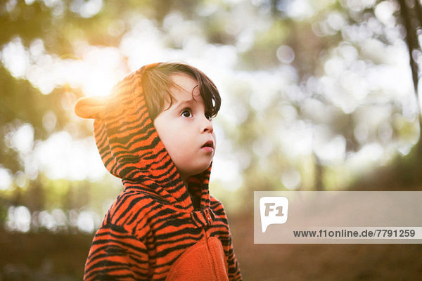 Portrait eines männlichen Kleinkindes im Tigeranzug allein im Wald