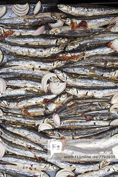 Boquerones (marinated sardines  Spain) on a baking tray