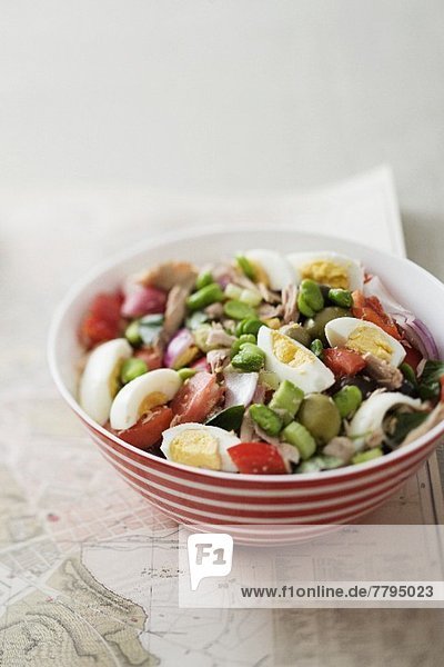 Gemüse Salat Basilikum Thunfisch