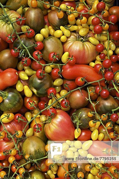 Viele Bio-Tomaten (Raritäten)  bildüllend
