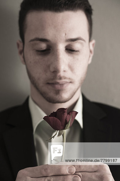 Close-up Portrait of Young Man holding Red Rose  Studio Shot