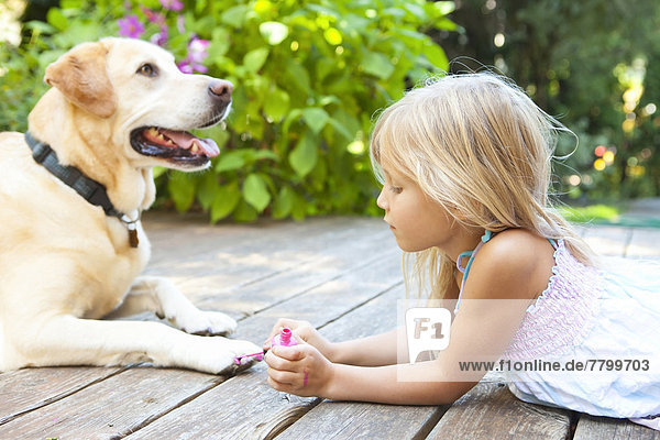 Little girl painting the claws of a dog with bright pink nail polish on a sunny summer afternoon in Portland  Oregon  USA