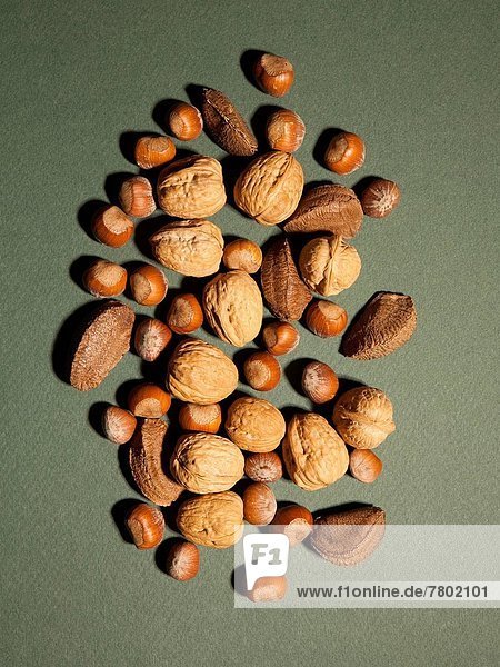 Studio shot of assorted nuts
