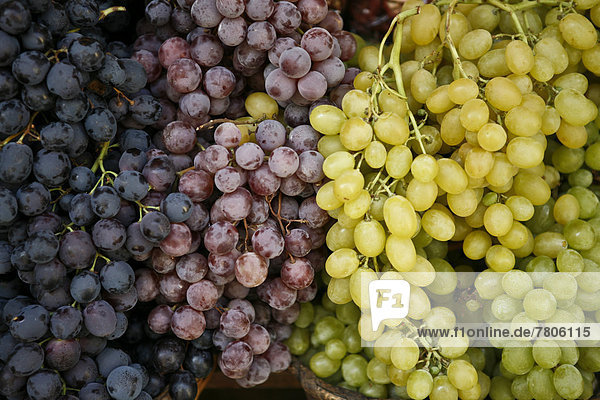 Blaue und weiße Weintrauben