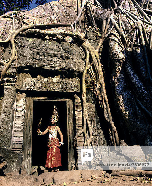 Ta Prohm Tempel mit riesigen Baumwurzeln von Tetrameles nudiflora  eine Tempeltänzerin oder Apsara im Innenhof  UNESCO-Weltkulturerbe
