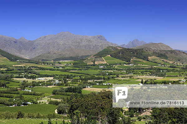 Weinanbaugebiet Franschhoek
