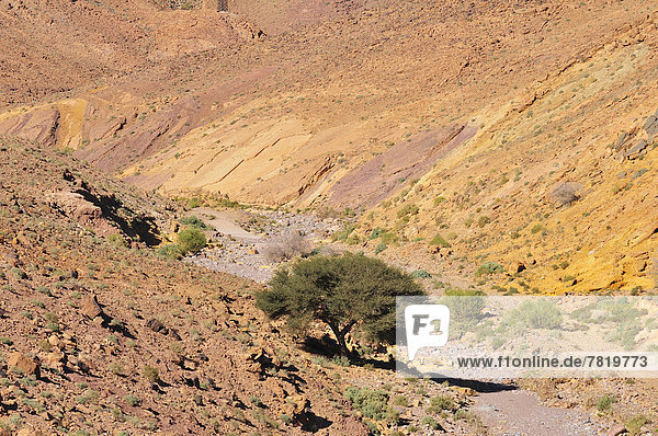 Typische Landschaft mit trockenem Flussbett  Oued