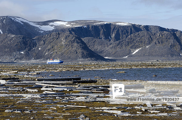 View from Amsterdamøya towards Danskøya  expedition cruise ship  MS Ocean Nova  rear  driftwood in the foreground
