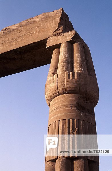 Africa  Egypt  Luxor  Luxor Temple  details of the colonnade of Amenhotep III                                                                                                                       