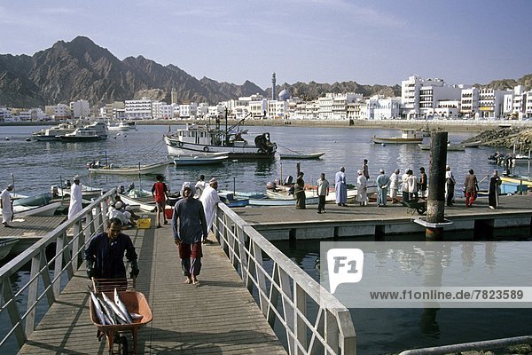 Oman  Muscat                                                                                                                                                                                        