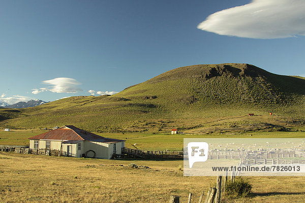 Landschaft  Landwirtschaft  Bauernhof  Hof  Höfe  Torres del Paine Nationalpark  Chile  Patagonien  Ranch  Südamerika