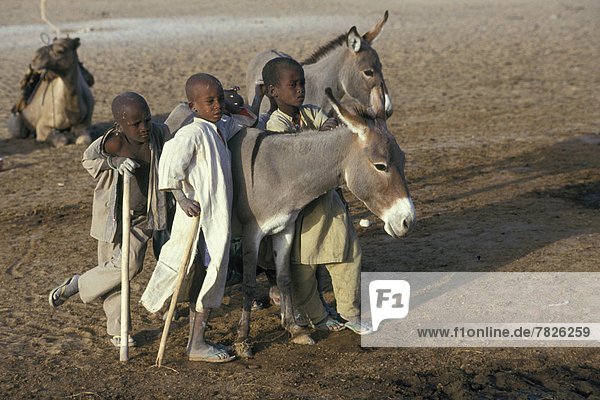 chad  sahara desert  children                                                                                                                                                                       