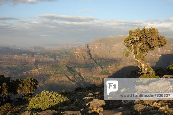 Gebirge  Nationalpark  Berg  Abend  Landschaft  Natur  Aussichtspunkt  Ansicht  Abenddämmerung  UNESCO-Welterbe  Semien  Afrika  Äthiopien  Highlands  Gebirgszug  trekking