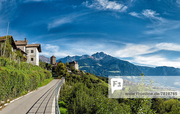 Trentino Südtirol  Europa  Berg  Palast  Schloß  Schlösser  Landschaft  Hügel  Straße  Dorf  Herbst  Tirol  Italien