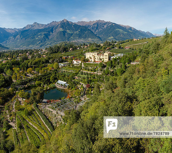 Trentino Südtirol  Europa  Berg  Blume  Palast  Schloß  Schlösser  Hügel  Garten  Herbst  Italien  Meran