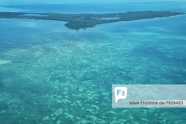 Meer  Karibik  Mittelamerika  Fernsehantenne  Belize  Riff