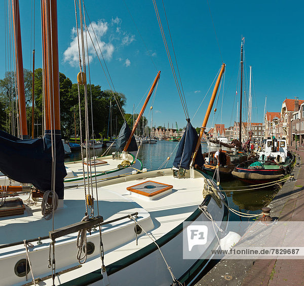 Netherlands  Holland  Europe  Hoorn  port  harbour  city  village  water  summer  ships  boat