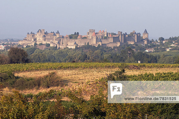 Frankreich  Europa  Stadt  Feld  Carcassonne