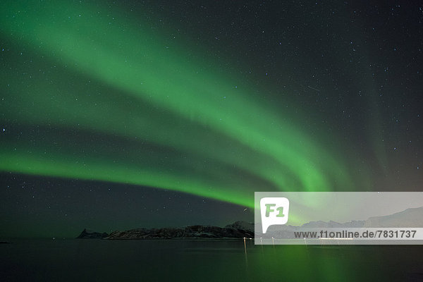 Farbaufnahme  Farbe  Europa  Winter  Nacht  Beleuchtung  Licht  Himmel  grün  Meer  Figur  Norwegen  Polarlicht  Naturerscheinung  Sehenswürdigkeit  Arktis  Skandinavien