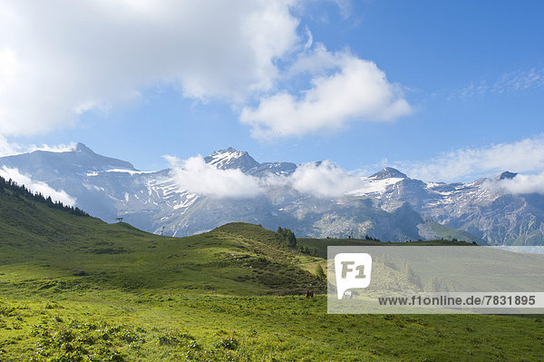 Panorama Landschaftlich schön landschaftlich reizvoll Europa Berg Wolke Wiese Les Diablerets Schweiz