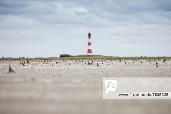 Zackige Sandformen am Strand mit Leuchtturm im Hintergrund,  Schleswig-Holstein,  Deutschland
