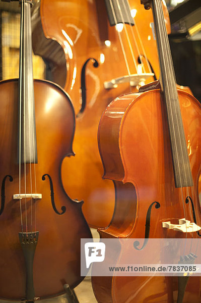Cellos and an upright bass in a shop window display