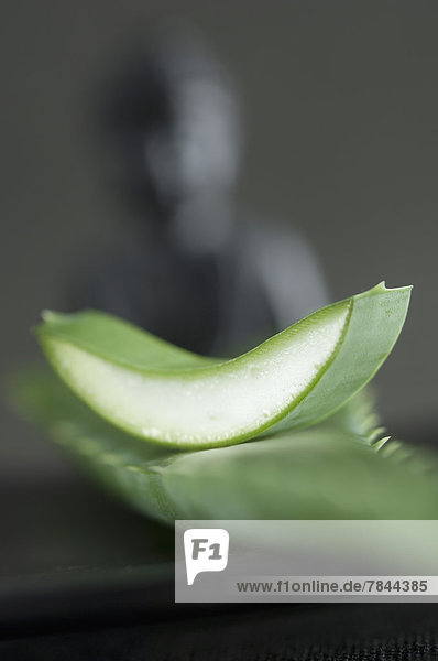 Scheibe Aloe Vera Blatt  Buddhastatue im Hintergrund