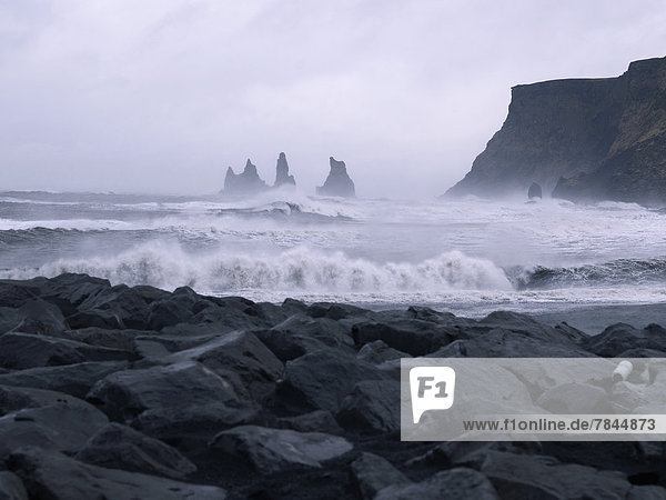 Island  Blick auf die Wellen des Atlantiks am Black Lava Beach