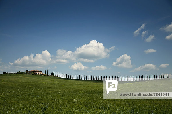 Italien  Toskana  Blick auf Haus mit Landschaft und Zaun