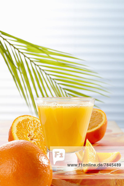 Glas mit Orangensaft und Palmblatt  Nahaufnahme