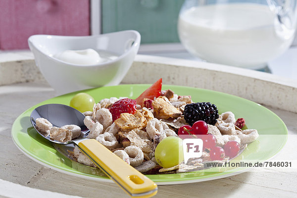 Plate of muesli and fruit with yogurt bowl  close up