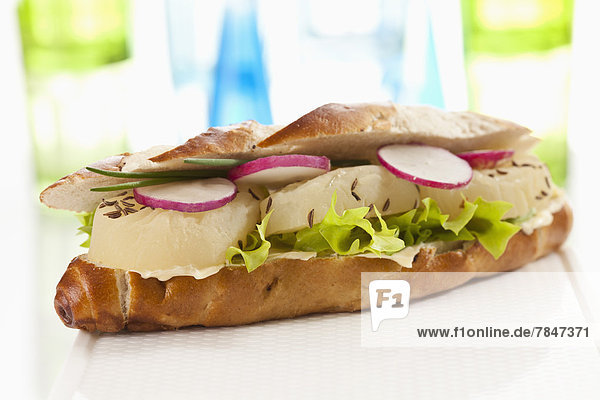 Bread with Harzer cheese and radish on chopping board  close up
