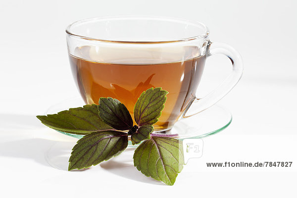 Basil herb with cup of tea on white background,  close up