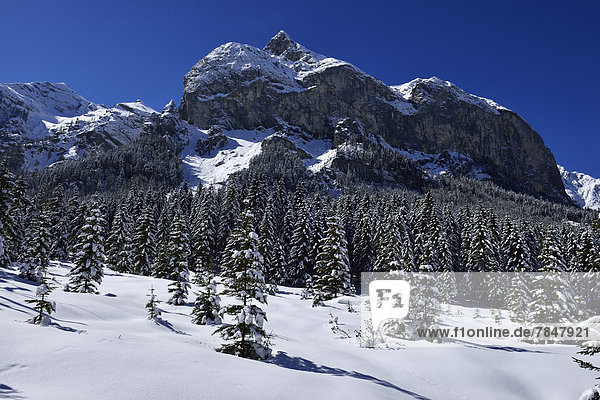 Austria  Tyrol  View of Karwendel mountains