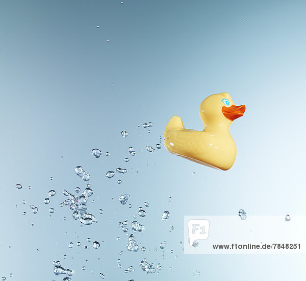 Rubber duck against blue background