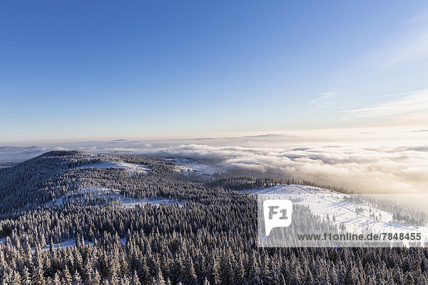 Deutschland  Bayern  Blick vom Gipfel des Großen Arbers auf den Bayerischen Wald
