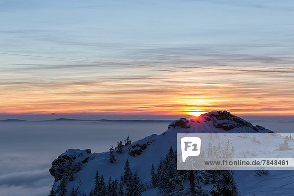 Deutschland  Bayern  Sonnenuntergang über Felsformation am Gipfel des Bayerischen Waldes