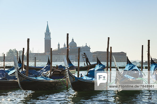 Italy  Venice  Gondolas docking at St Mark's Square