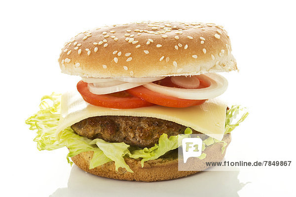 Hamburger auf weißem Hintergrund  Nahaufnahme
