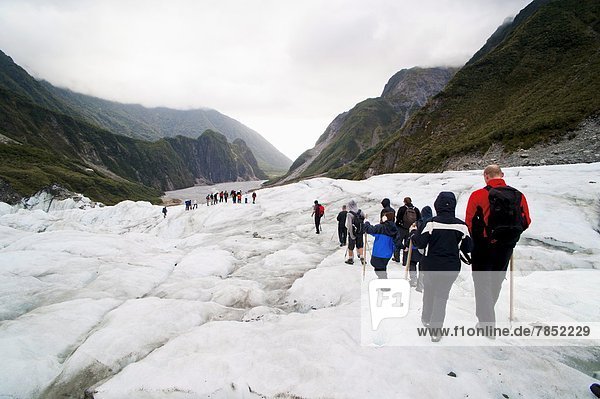 Tourists on Fox Glacier  Westland National Park  UNESCO World Heritage Site  South Island  New Zealand  Pacific