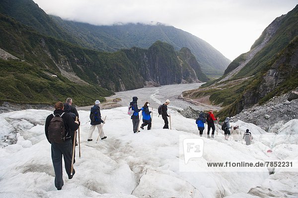Tourists walking on Fox Glacier  Westland National Park  UNESCO World Heritage Site  South Island  New Zealand  Pacific