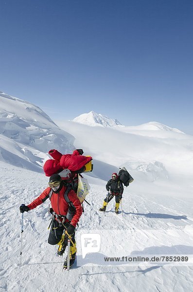 Climbing expedition on Mount McKinley  6194m  Denali National Park  Alaska  United States of America  North America