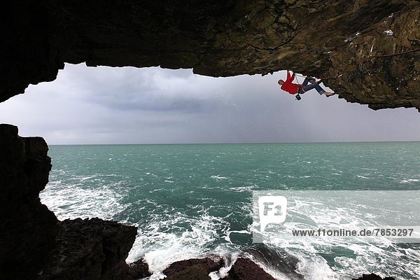 A climber scales a sea cave near Swanage  Dorset  England  United Kingdom  Europe