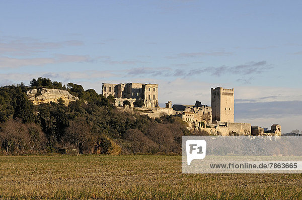 Abtei Montmajour  Arles  Provence  Frankreich