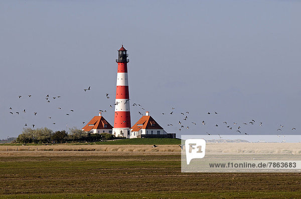 Westerhever Leuchtturm  Schleswig-Holstein  Deutschland